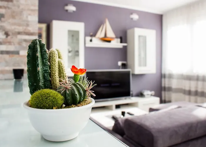 דירה Deluxe Miro *